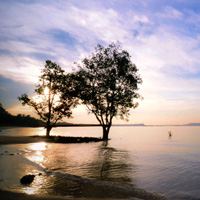 求链接ddos测压网站