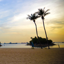 手机版ddos攻击器